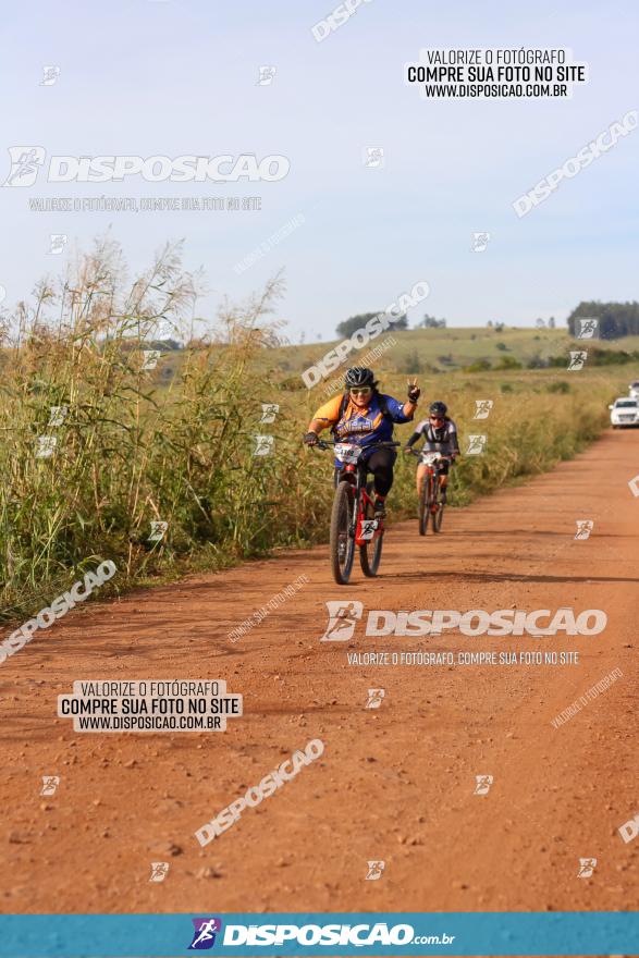 Rota das Catedrais 2022