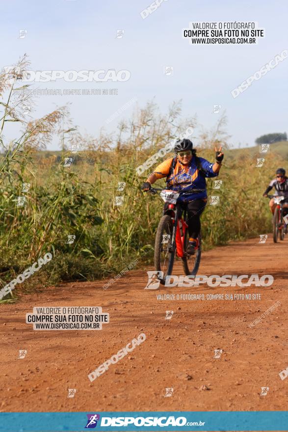 Rota das Catedrais 2022