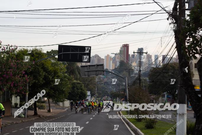 Rota das Catedrais 2022