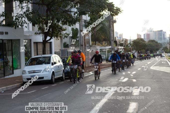 Rota das Catedrais 2022