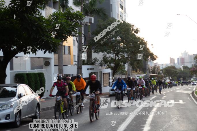 Rota das Catedrais 2022