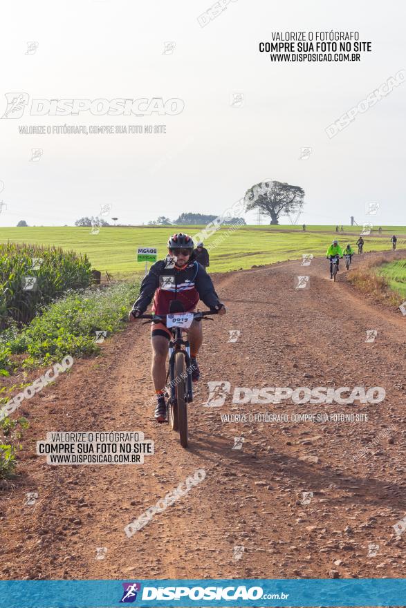 Rota das Catedrais 2022