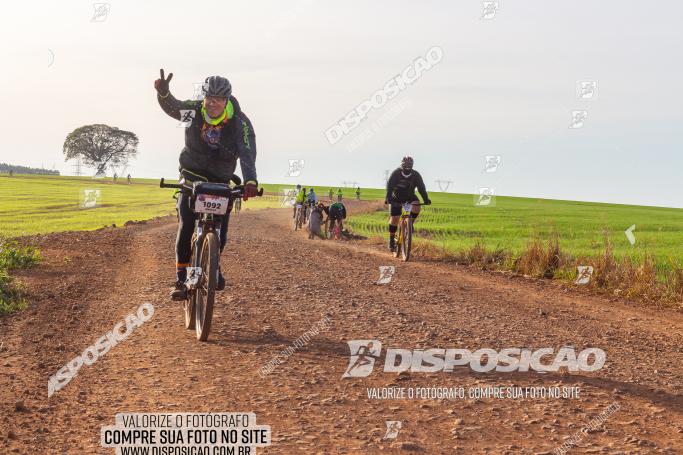 Rota das Catedrais 2022