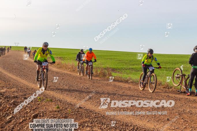 Rota das Catedrais 2022