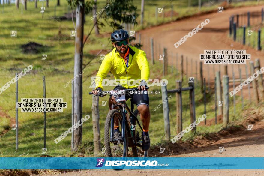 Rota das Catedrais 2022