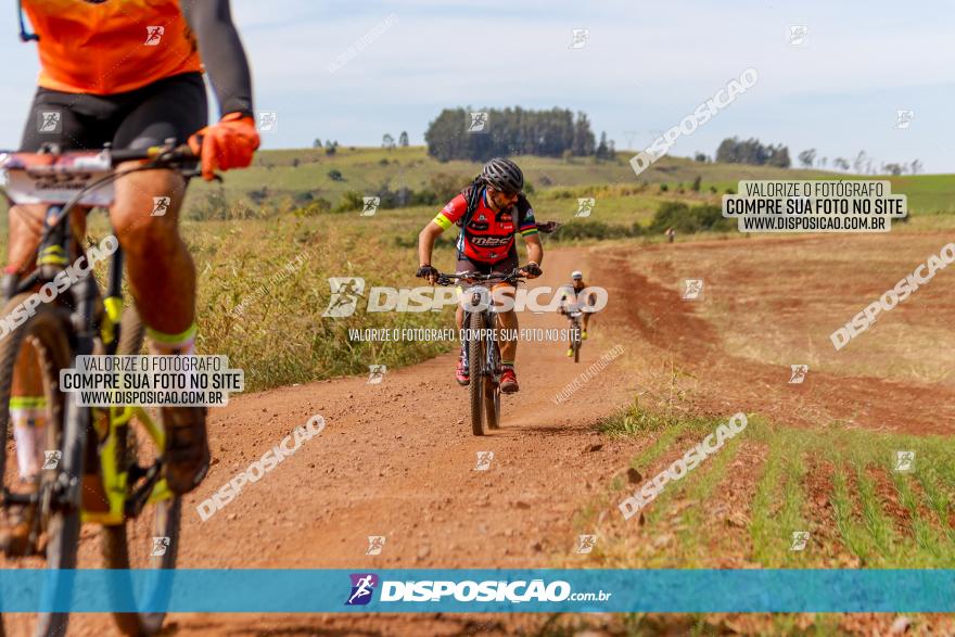 Rota das Catedrais 2022