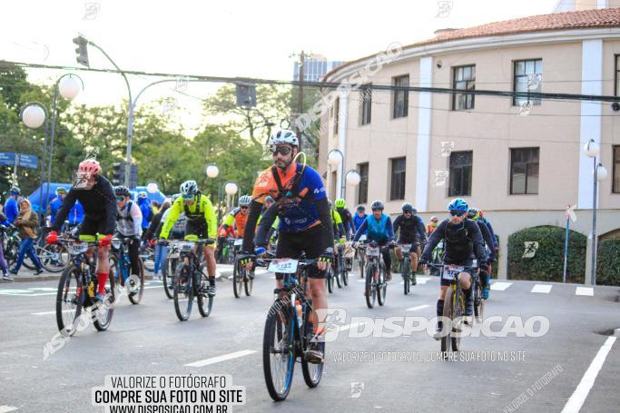 Rota das Catedrais 2022