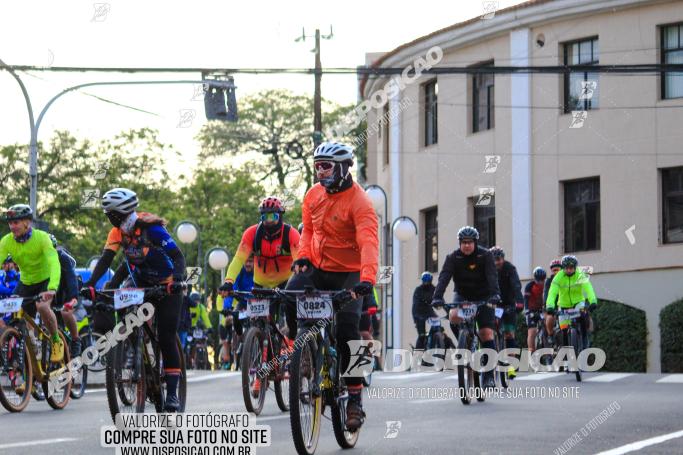 Rota das Catedrais 2022