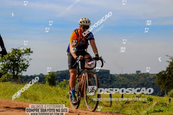 Rota das Catedrais 2022