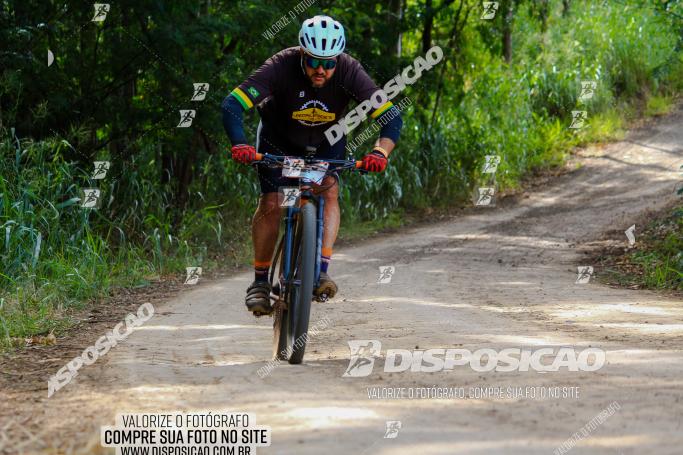 Rota das Catedrais 2022