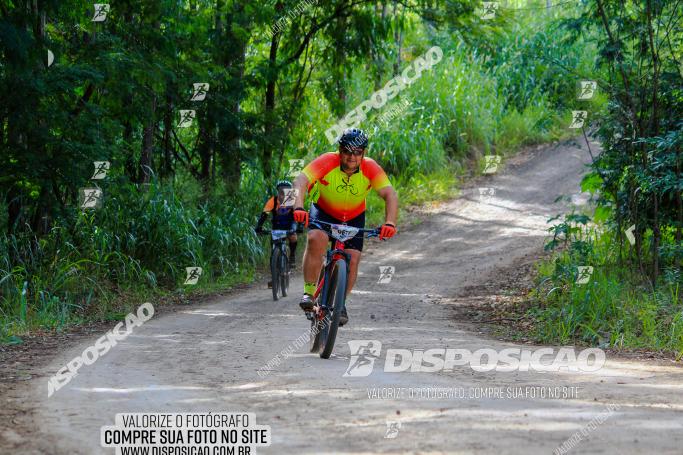 Rota das Catedrais 2022