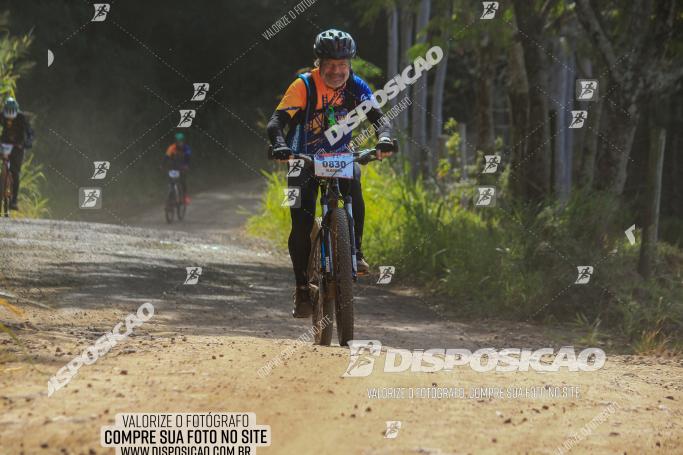 Rota das Catedrais 2022