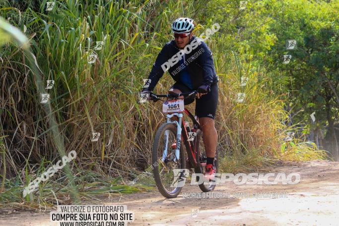 Rota das Catedrais 2022