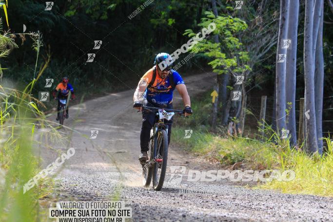 Rota das Catedrais 2022