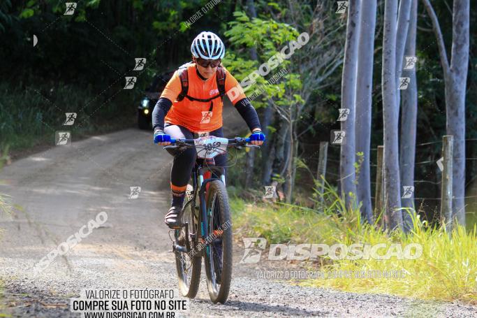 Rota das Catedrais 2022