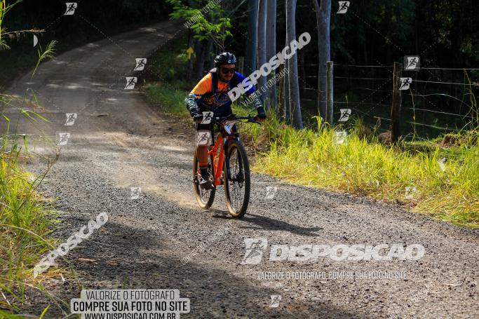 Rota das Catedrais 2022