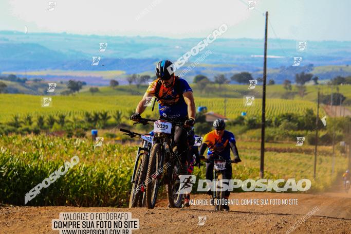 Rota das Catedrais 2022