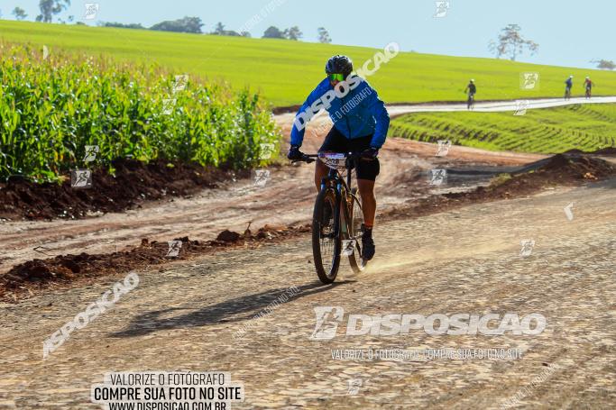 Rota das Catedrais 2022