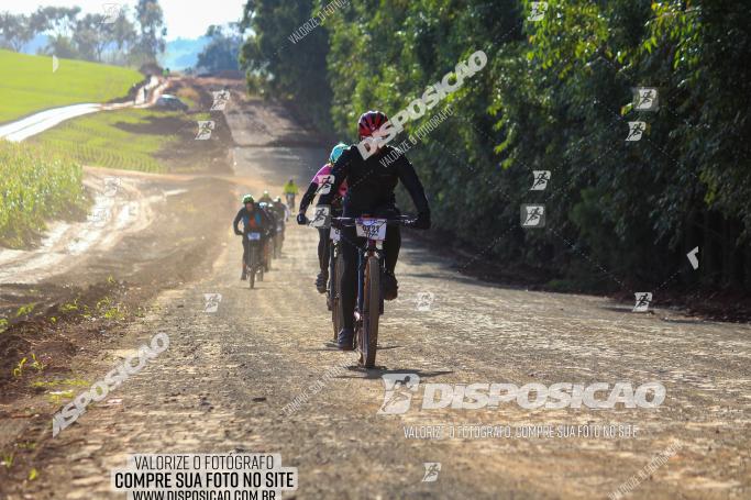 Rota das Catedrais 2022