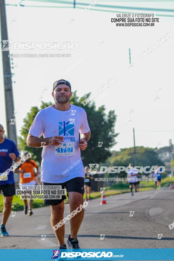 Boulevard Run 2022