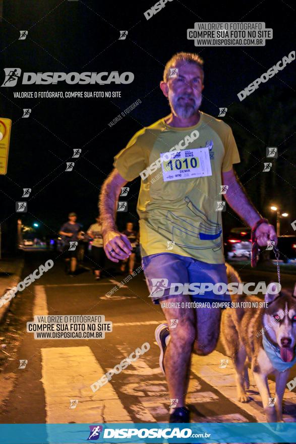 Decathlon Night Run - Paraná Running 2022