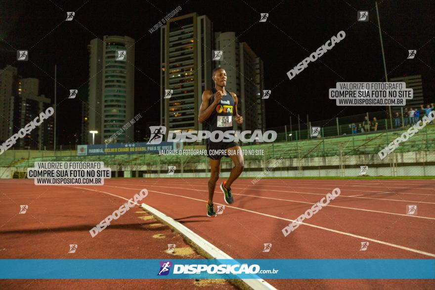 Decathlon Night Run - Paraná Running 2022