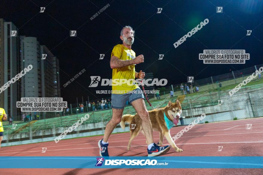 Decathlon Night Run - Paraná Running 2022