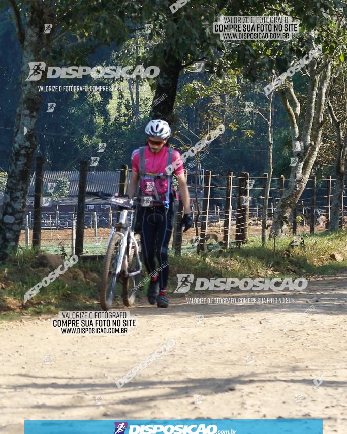 CIRCUITO IBIPORÃ DE MTB - Volta do Guarani