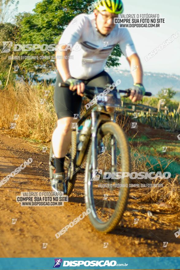 CIRCUITO IBIPORÃ DE MTB - Volta do Guarani