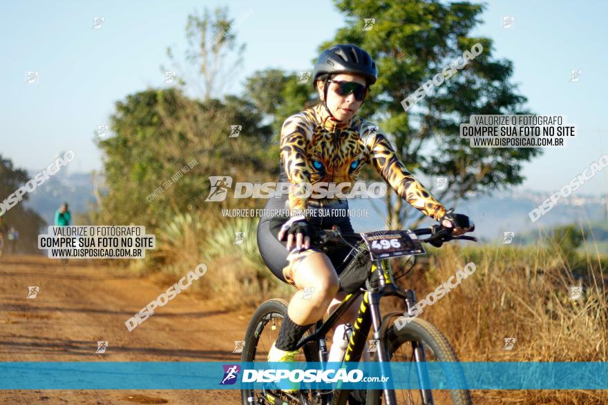 CIRCUITO IBIPORÃ DE MTB - Volta do Guarani