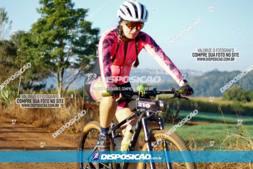 CIRCUITO IBIPORÃ DE MTB - Volta do Guarani