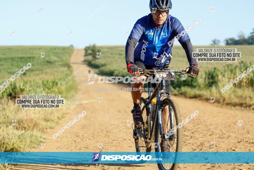 CIRCUITO IBIPORÃ DE MTB - Volta do Guarani