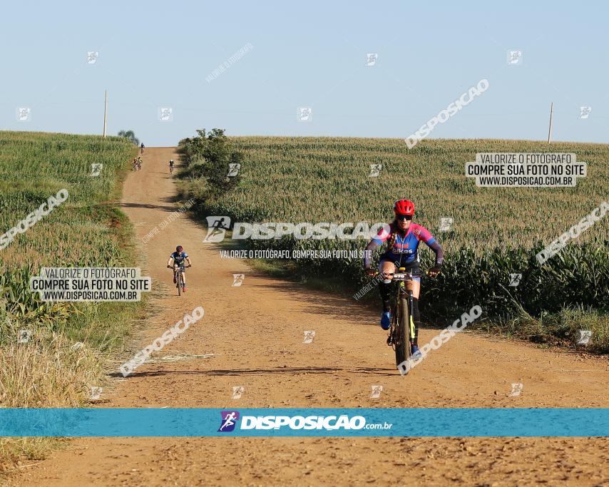 CIRCUITO IBIPORÃ DE MTB - Volta do Guarani