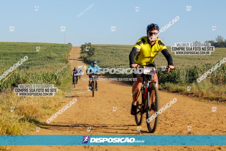 CIRCUITO IBIPORÃ DE MTB - Volta do Guarani