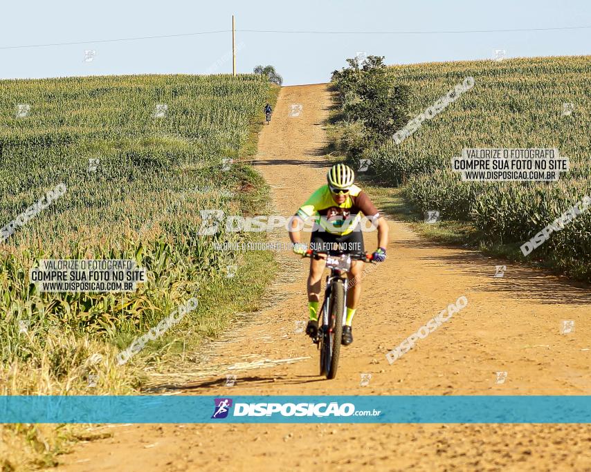 CIRCUITO IBIPORÃ DE MTB - Volta do Guarani