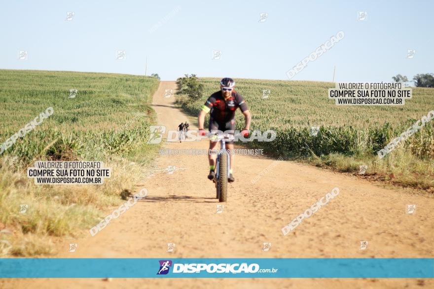 CIRCUITO IBIPORÃ DE MTB - Volta do Guarani