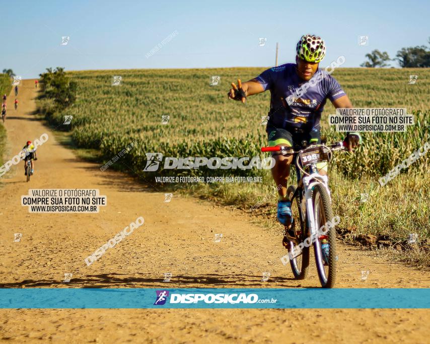 CIRCUITO IBIPORÃ DE MTB - Volta do Guarani