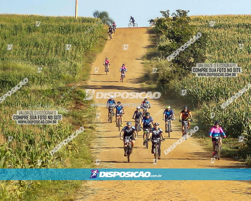 CIRCUITO IBIPORÃ DE MTB - Volta do Guarani