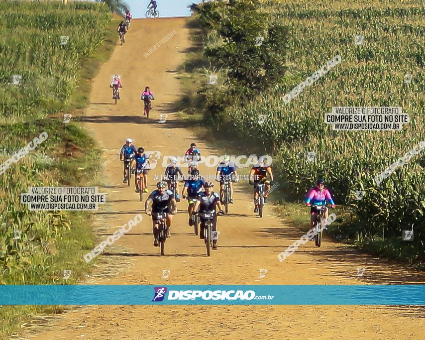 CIRCUITO IBIPORÃ DE MTB - Volta do Guarani