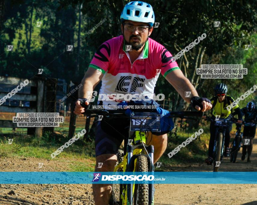 CIRCUITO IBIPORÃ DE MTB - Volta do Guarani