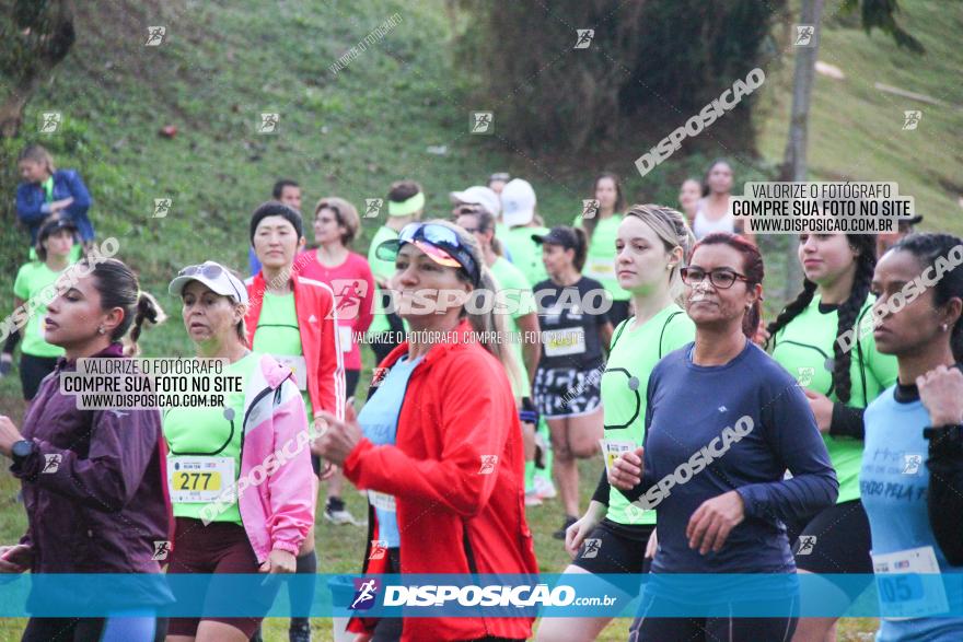 Brasil Corridas - Run 15km - Londrina