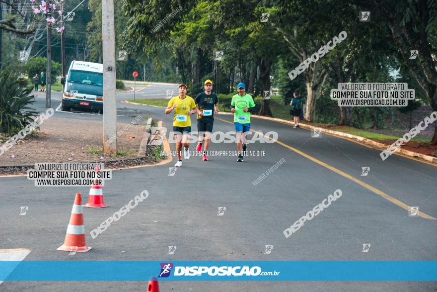 Brasil Corridas - Run 15km - Londrina