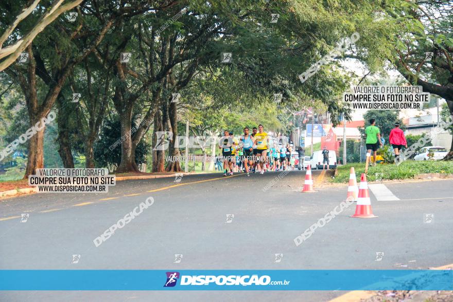 Brasil Corridas - Run 15km - Londrina