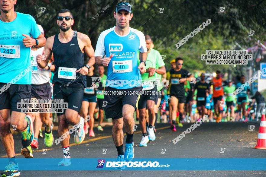 Brasil Corridas - Run 15km - Londrina