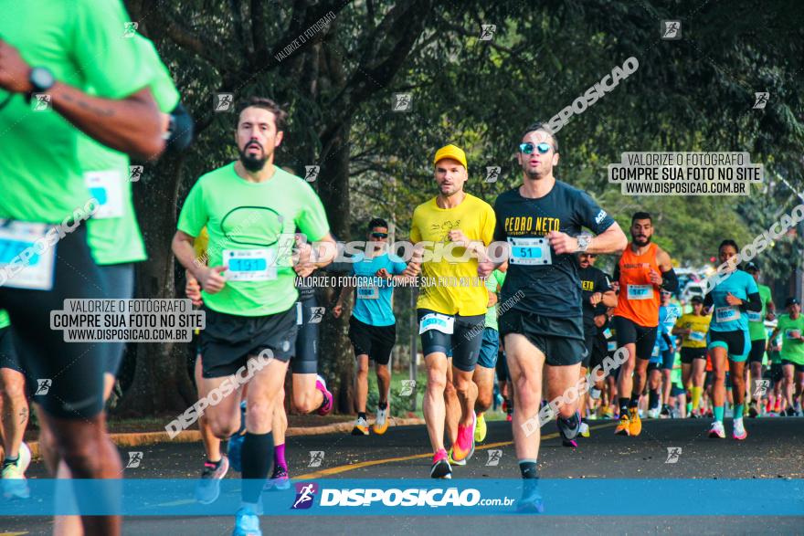 Brasil Corridas - Run 15km - Londrina