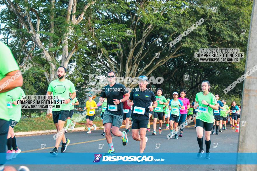 Brasil Corridas - Run 15km - Londrina