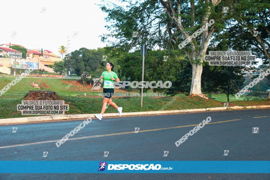 Brasil Corridas - Run 15km - Londrina