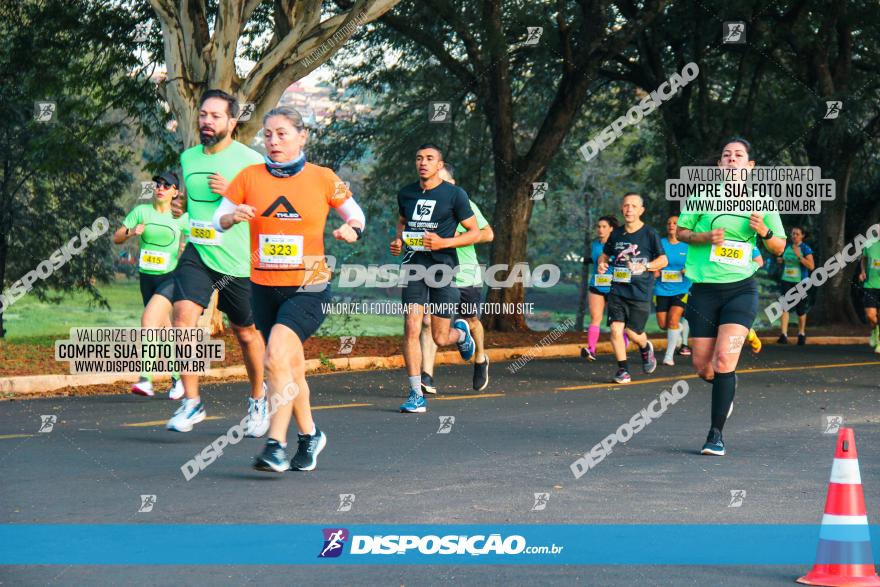 Brasil Corridas - Run 15km - Londrina