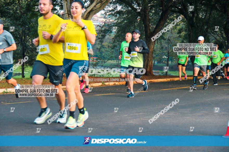 Brasil Corridas - Run 15km - Londrina