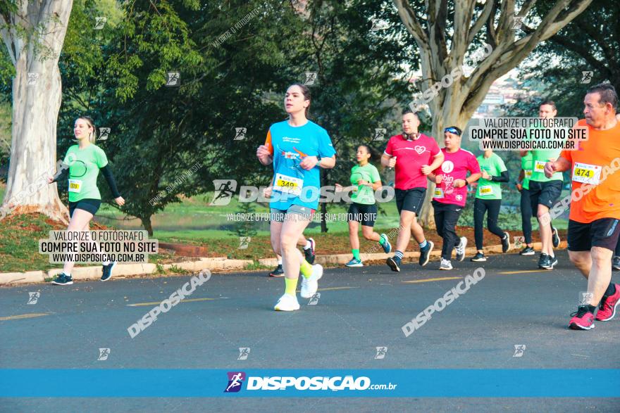 Brasil Corridas - Run 15km - Londrina